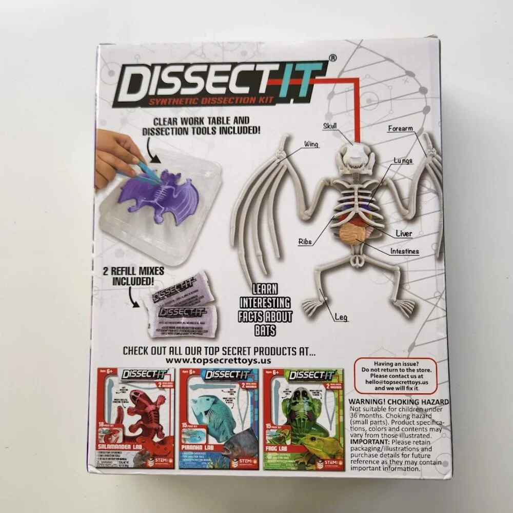 NEW Dissect-it Synthetic Lab Dissection Toy STEM KIT CRAFT Project Bat Biology A